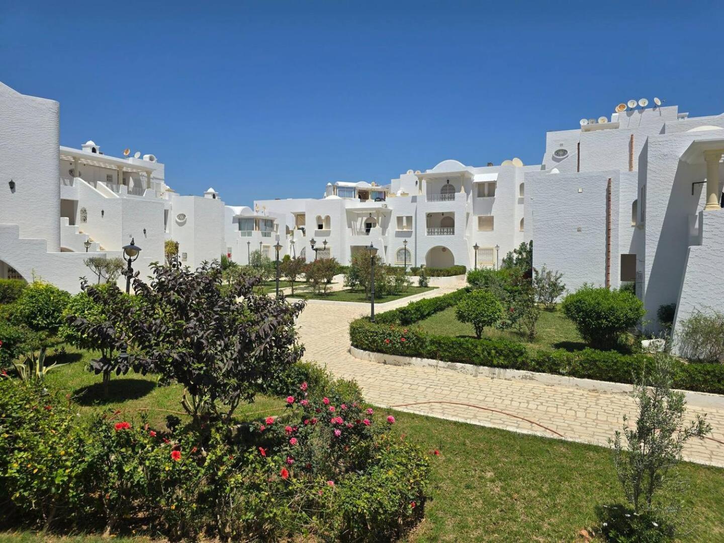 Nesrine Hamammet * Hammamet