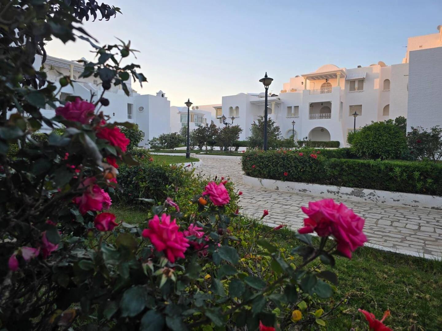 Nesrine Hamammet Apartment